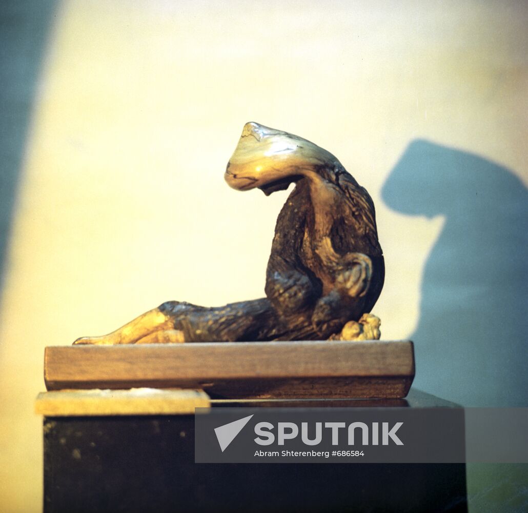 Basket "Vietnam's Sorrow"