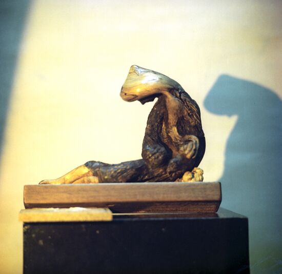 Basket "Vietnam's Sorrow"