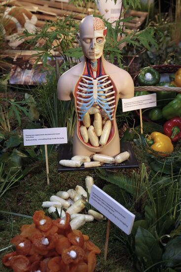 Exhibition demonstrating ways to hide drugs