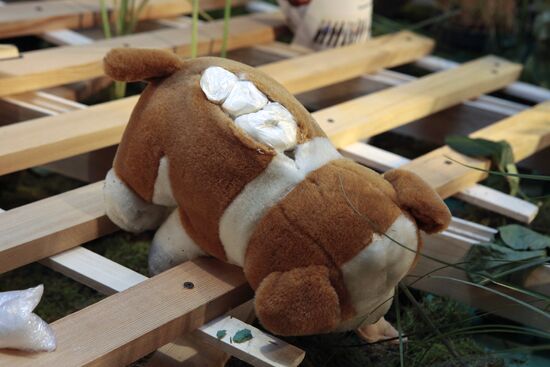 Exhibition demonstrating ways to hide drugs