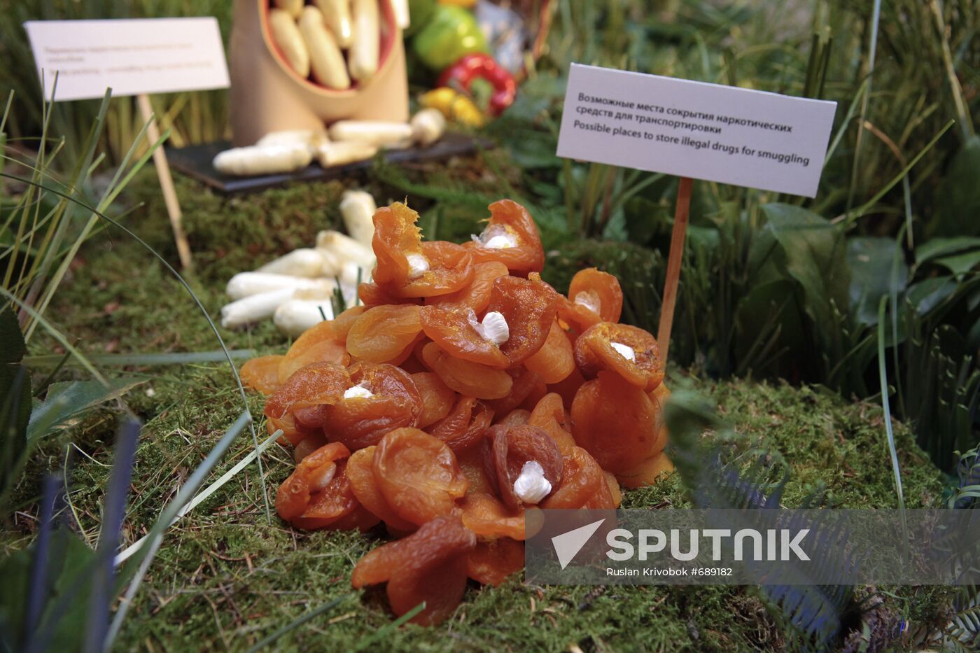 Exhibition demonstrating ways to hide drugs