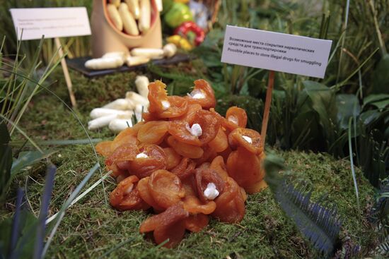 Exhibition demonstrating ways to hide drugs