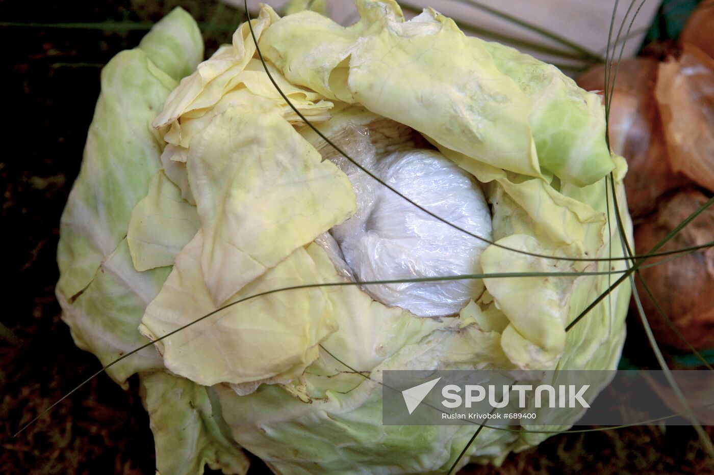 Installation to show way of hiding drugs in transit
