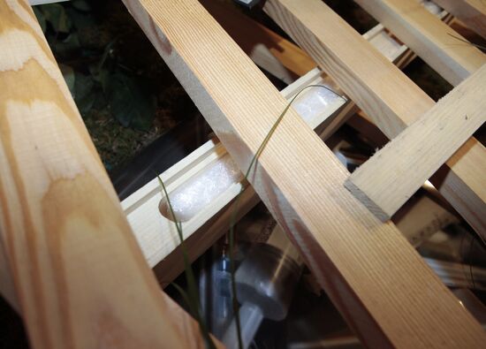 Installation to show way of hiding drugs in transit