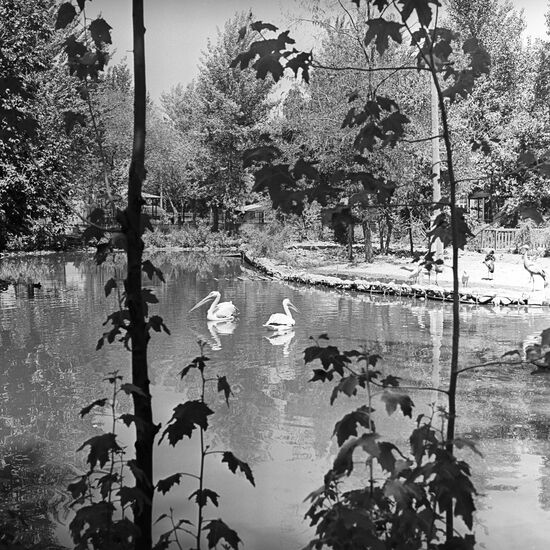 Dushanbe Zoo