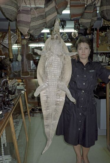 Crocodile skin