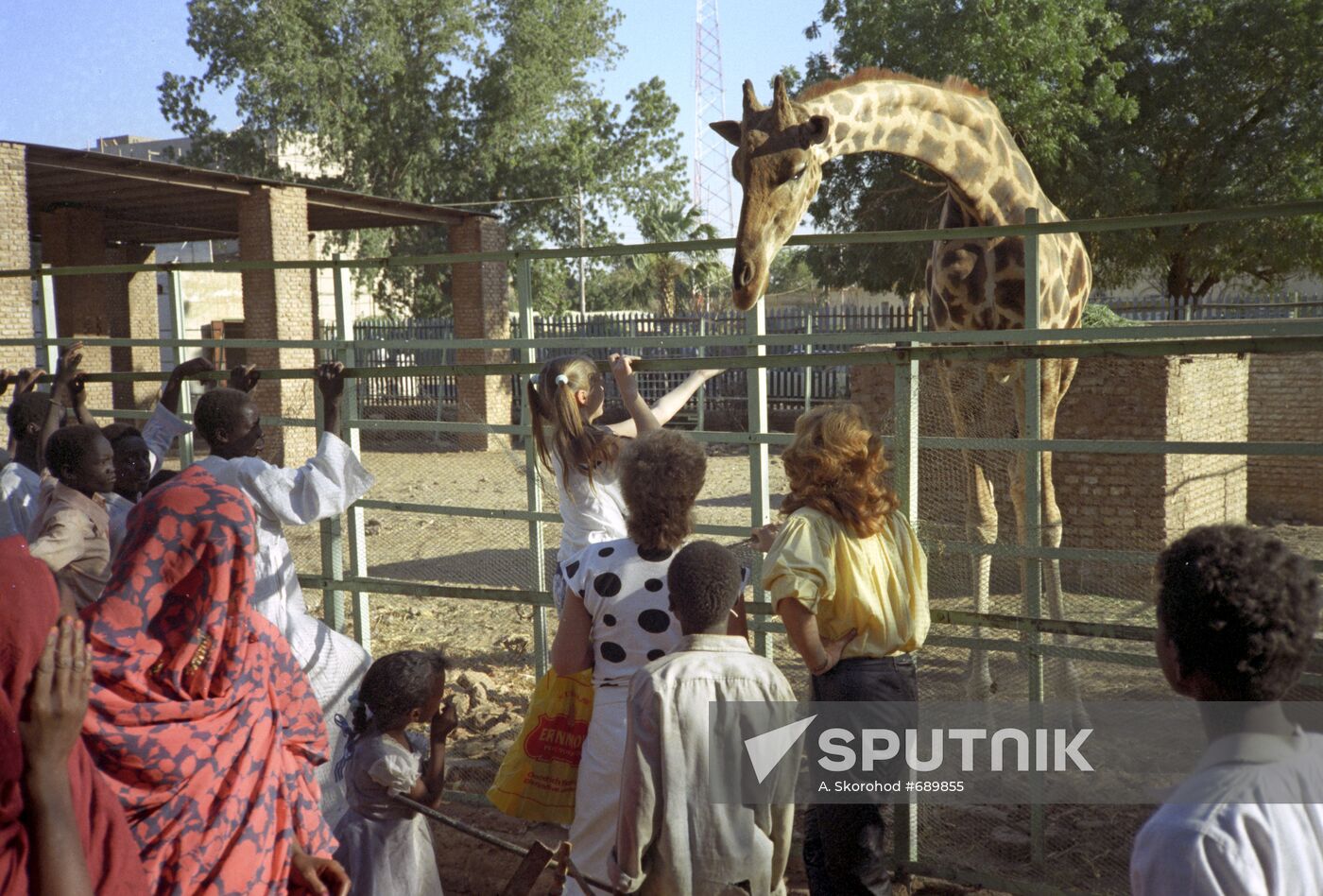 Giraffe in Khartoum Zoo
