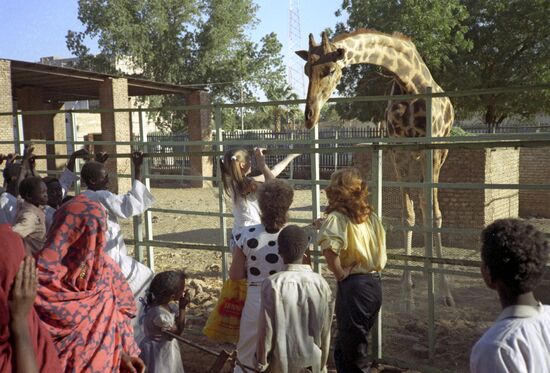 Giraffe in Khartoum Zoo