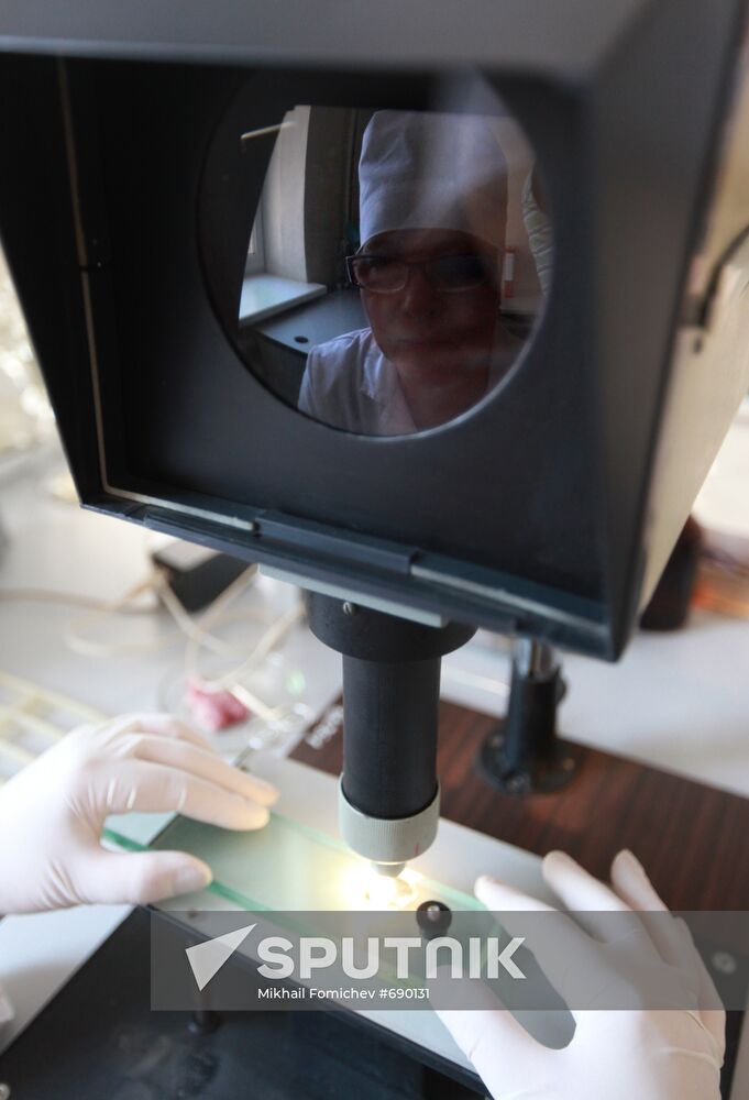 Work of laboratory for veterinary and sanitary expertise