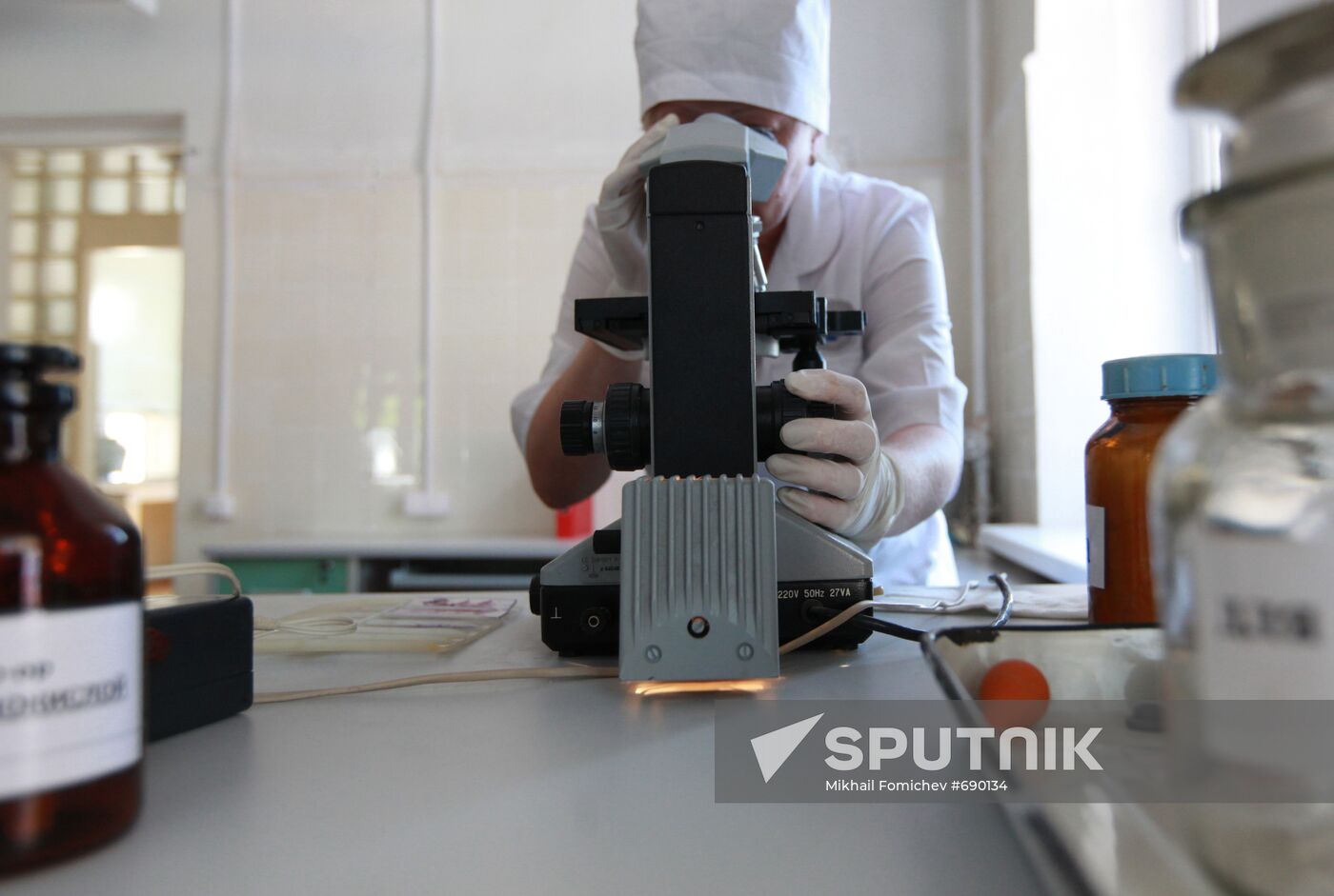 Work of laboratory for veterinary and sanitary expertise