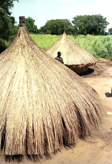 Dwellings in village Amba-4