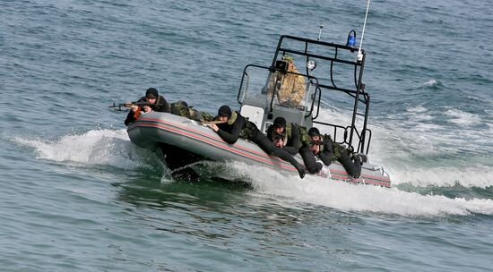 Russian seals approach to ashore.