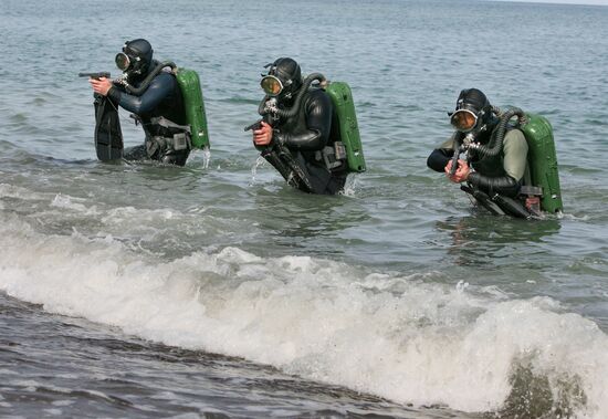 Russian seals appear ashore.