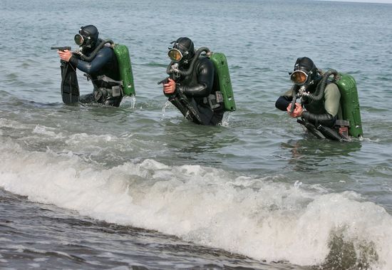 Russian seals appear ashore.