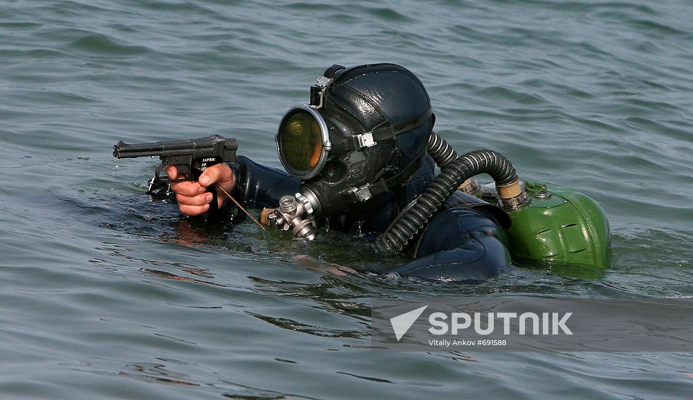 Russian seal appears to ashore.