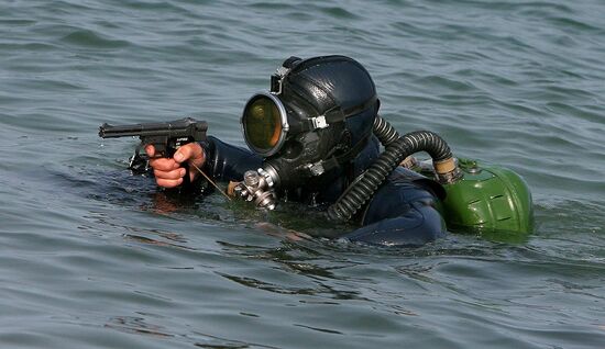 Russian seal appears to ashore.