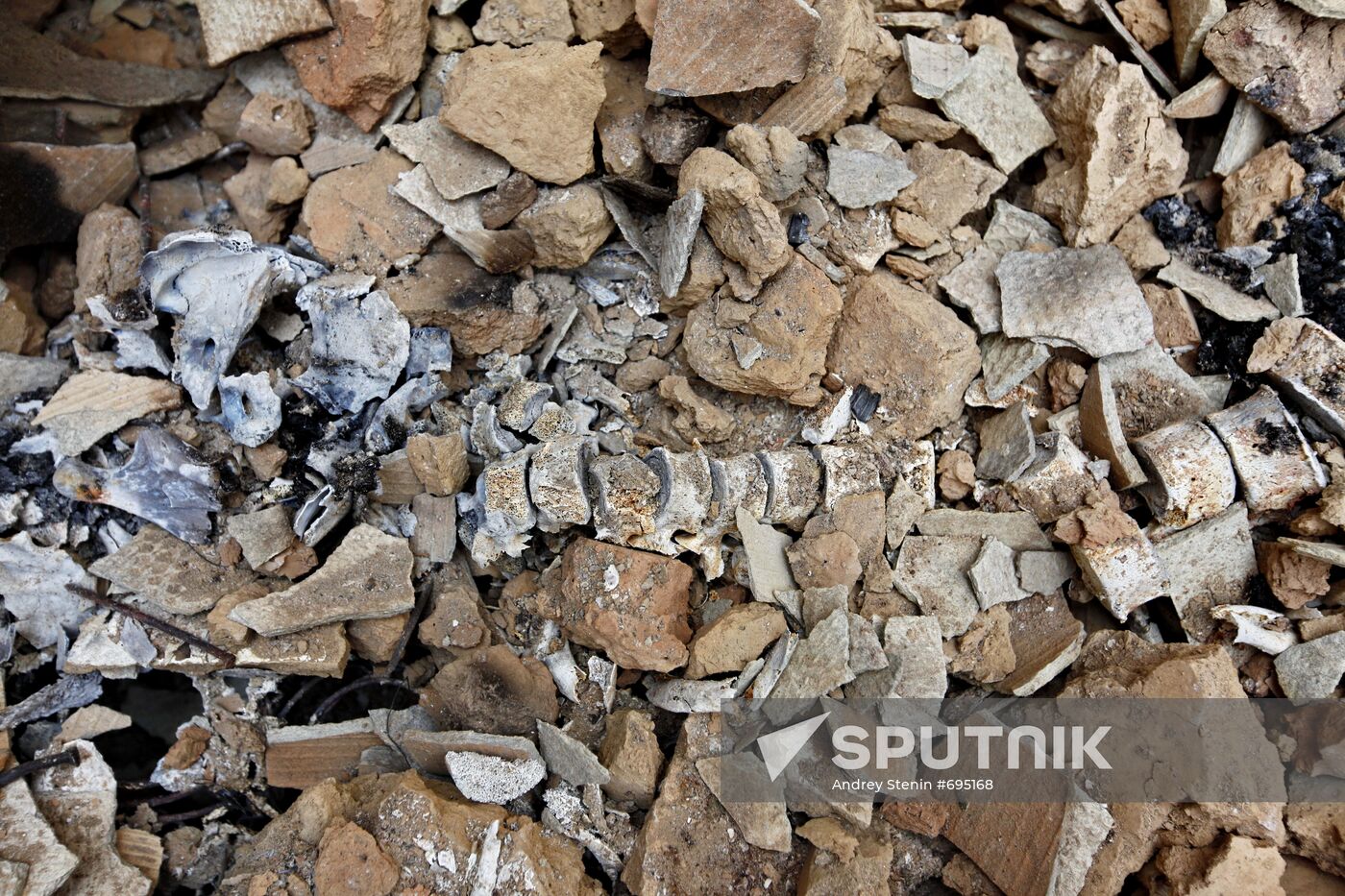 Kyrgyz town of Osh hit by ethnic clashes