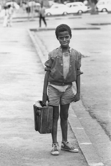 Shoe shiner