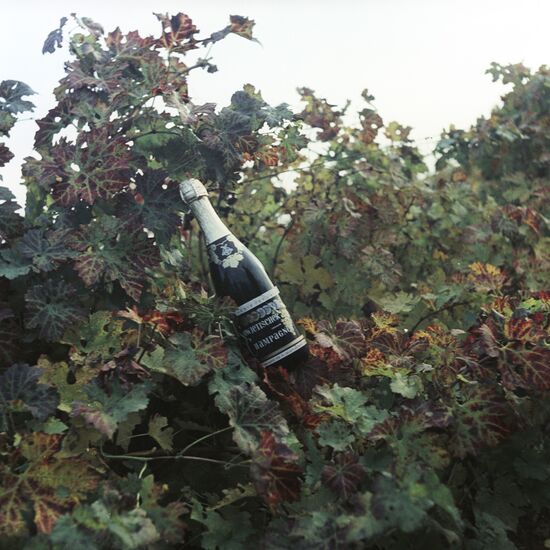 Bottle with champagne produced at Abrau-Dyurso plant