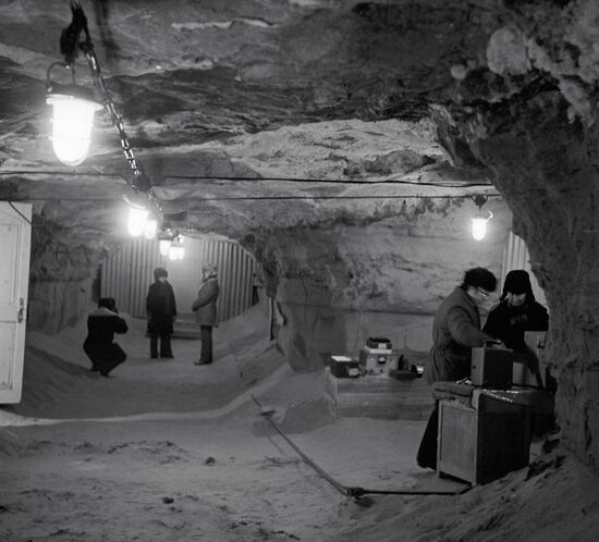 PERMAFROST INSTITUTE