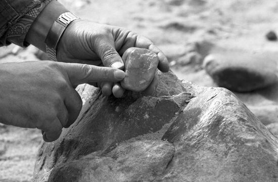 DIRING PRIMITIVE SETTLEMENT STONE ANVIL