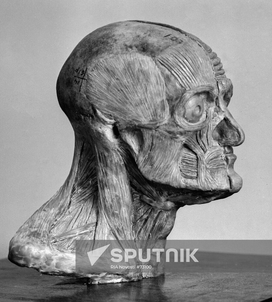 SKULL MEDICAL INSTITUTE YEREVAN