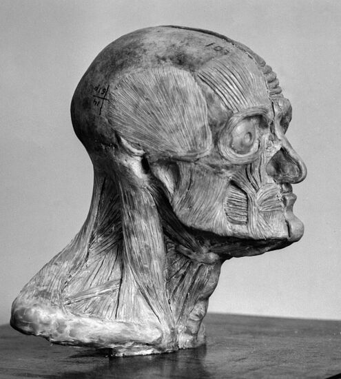 SKULL MEDICAL INSTITUTE YEREVAN