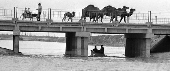 CAMELS KARAKUM CANAL