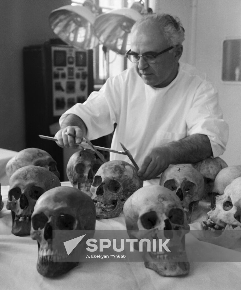 DZHAGARYAN SKULLS MEASUREMENTS