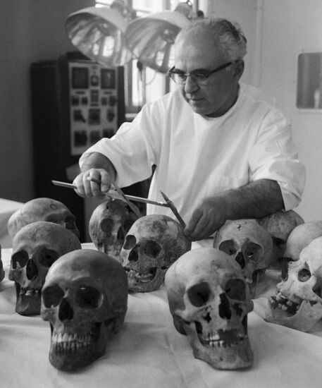 DZHAGARYAN SKULLS MEASUREMENTS