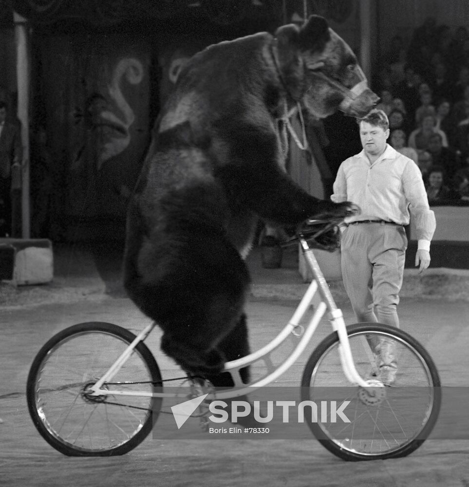 MOSCOW CIRCUS KUDRYAVTSEV BEAR