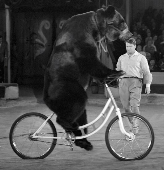 MOSCOW CIRCUS KUDRYAVTSEV BEAR