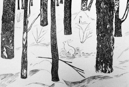KARDASH "A LONE RABBIT IN THE WOODS" DRAWING