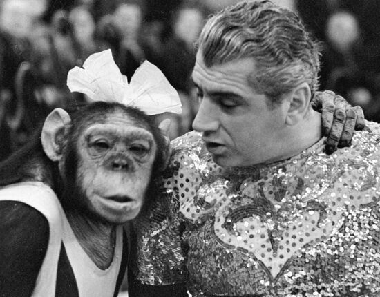 ISAAKYAN MONKEY CIRCUS