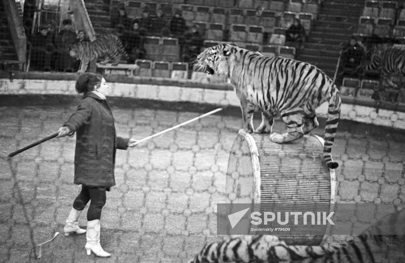 NAZAROV TIGER REHEARSAL 