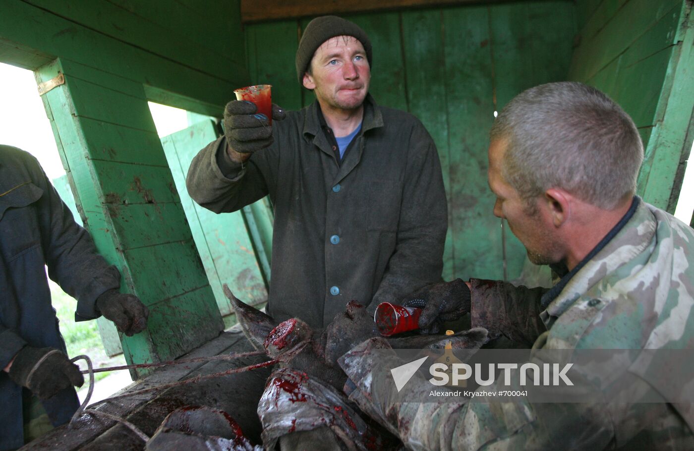 Elk Farm in Altai