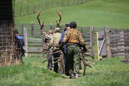 Elk Farm in Altai