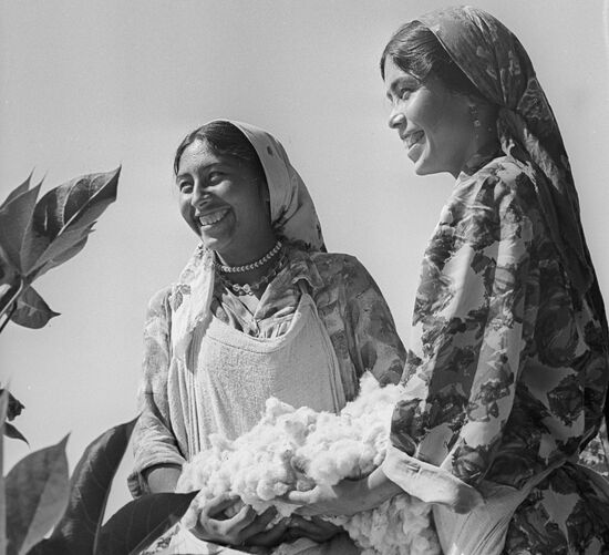 Lomonosov farm, Shahrtuz District, Tajikistan