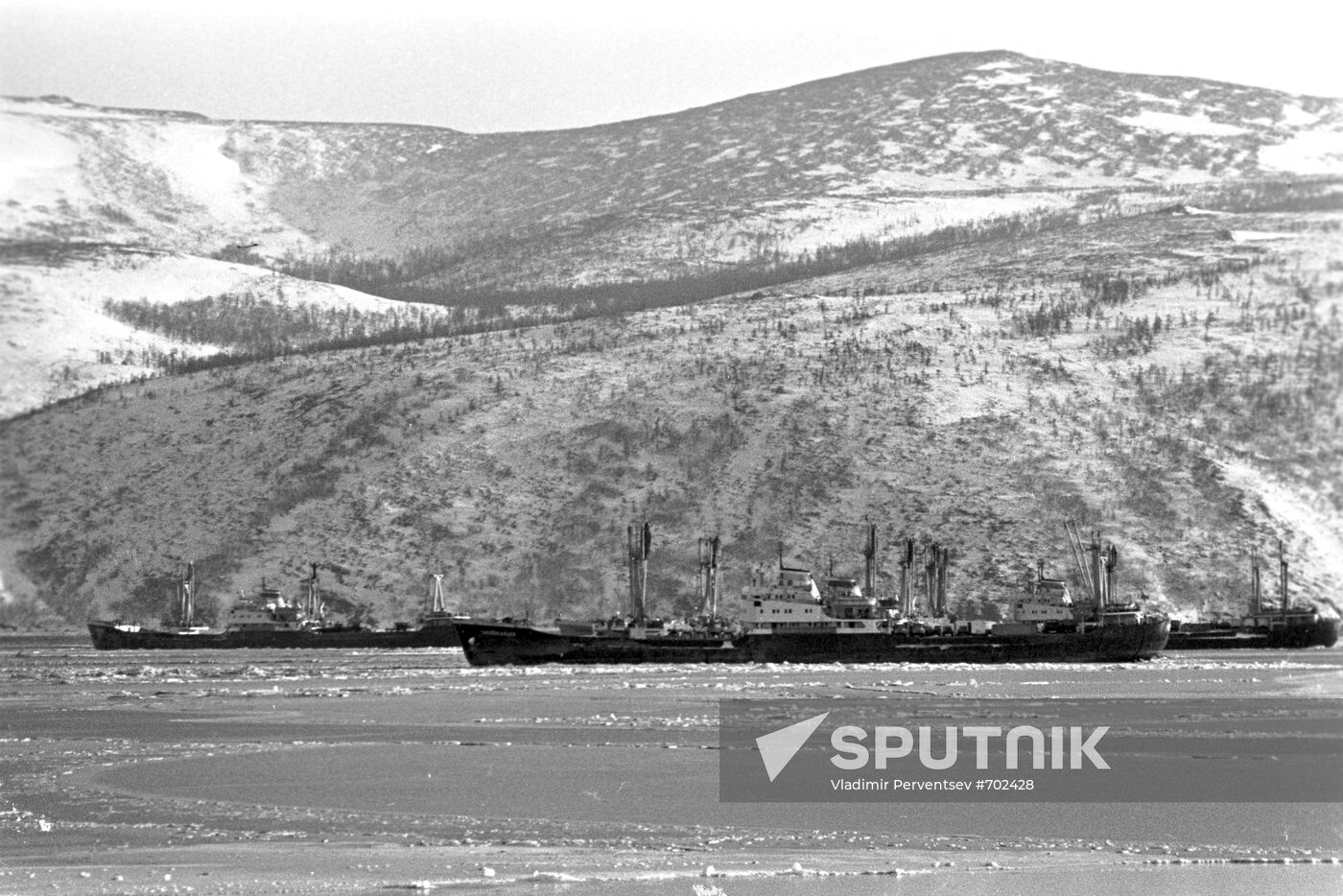Ships anchored at port