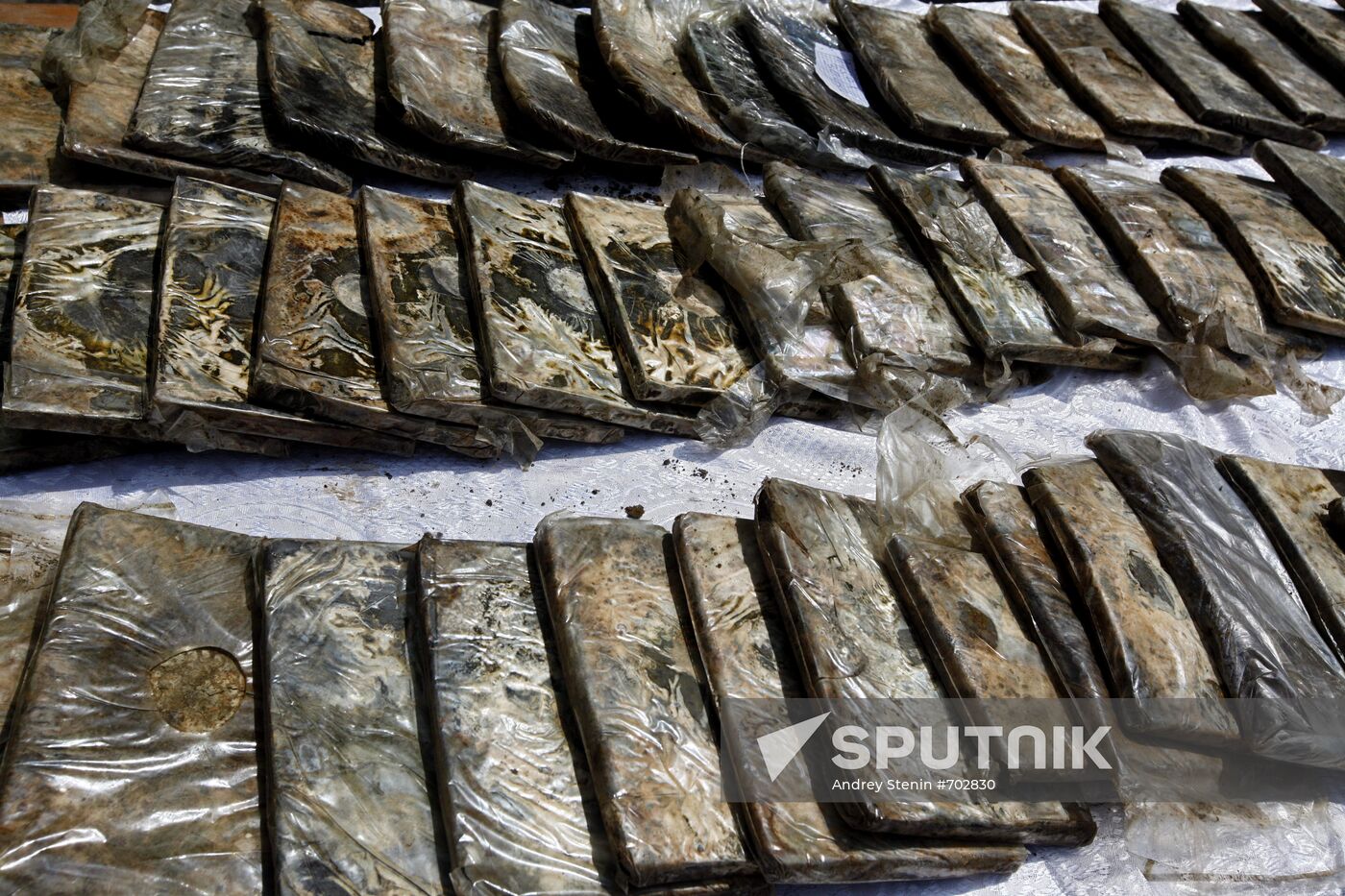 Confiscated drugs