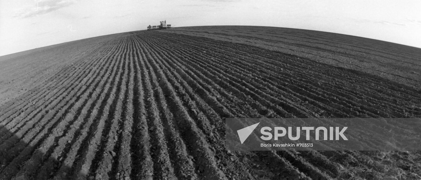 Collective farm field in Kazakh SSR
