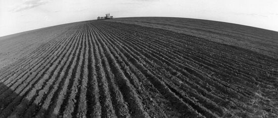 Collective farm field in Kazakh SSR