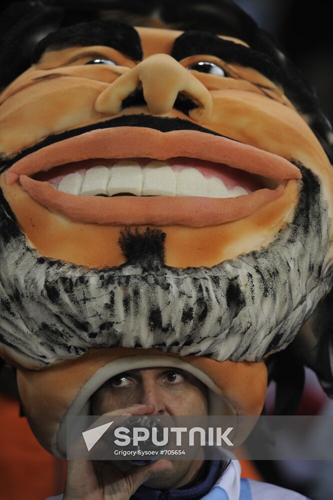 Football fan