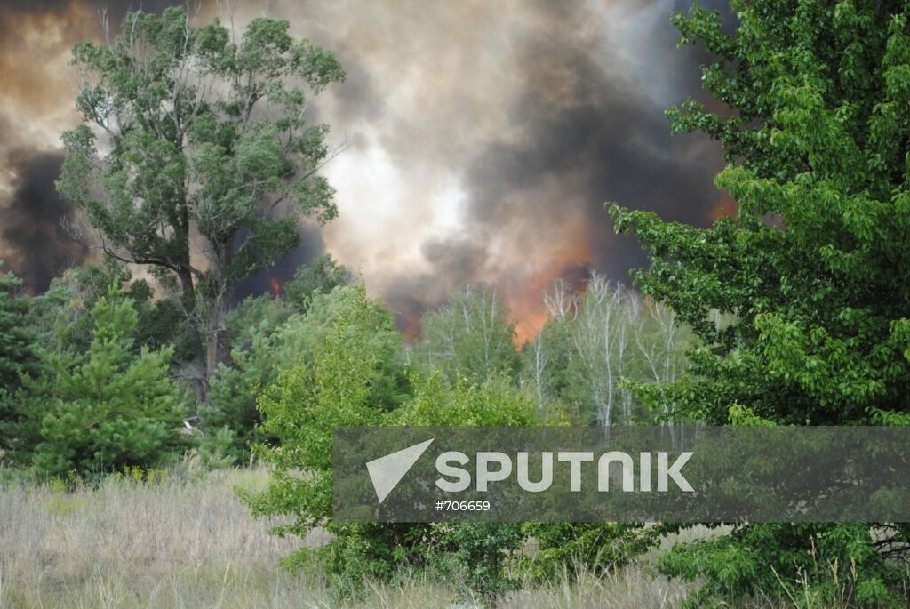 Wildfire in Rostov Region