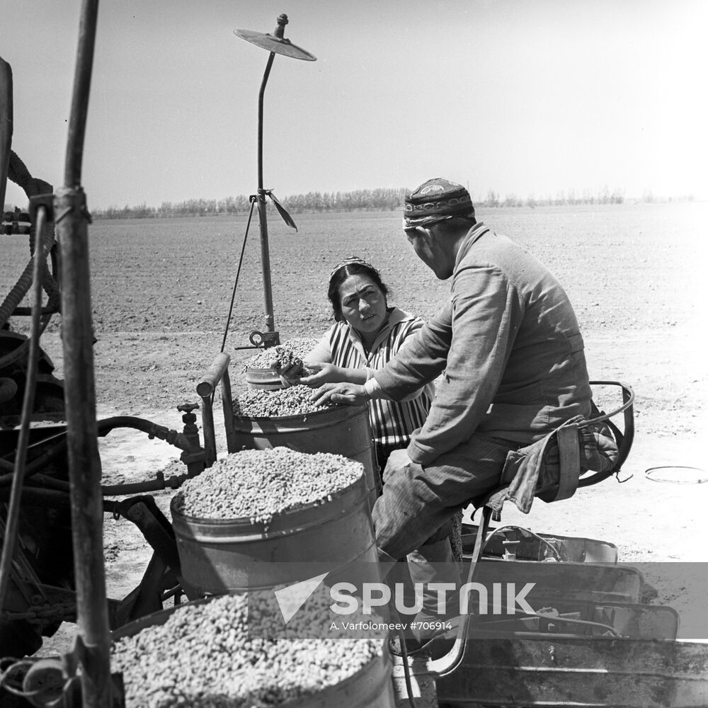 Sovkhoz named after G. Titov, Uzbek SSR