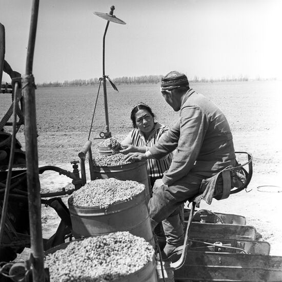 Sovkhoz named after G. Titov, Uzbek SSR