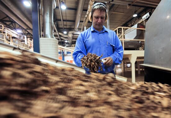 Preparing tobacco mixtures for cigarettes