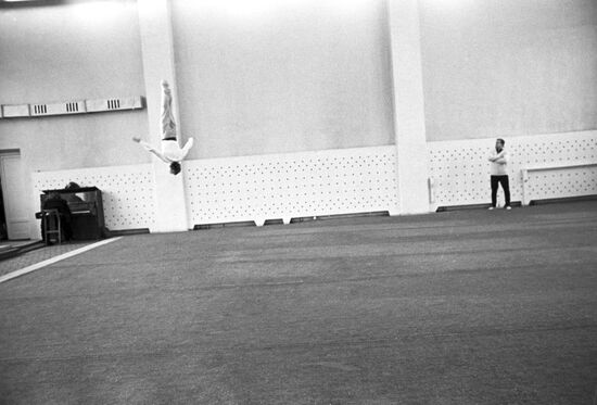 World artistic gymnastics champion N. Andrianov during training