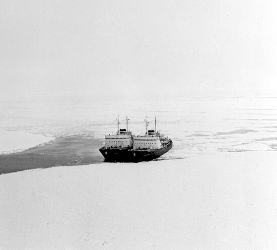 Icebreakers "Murmansk" and "Vladivostok"
