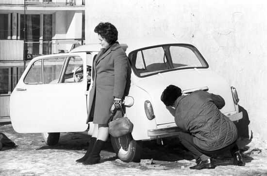Life of Muscovites